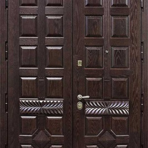 Парадная дверь DR496